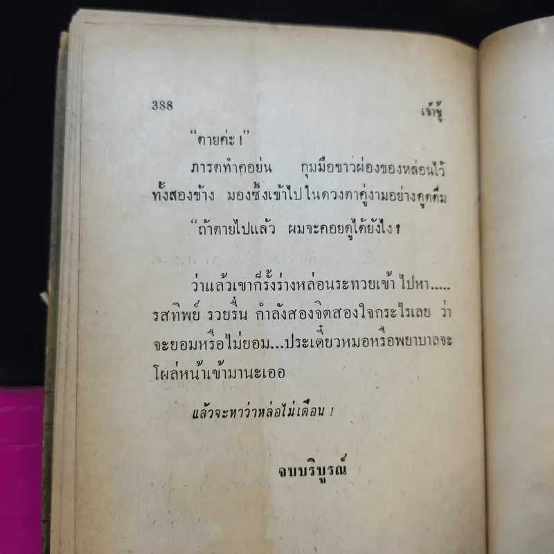 เจ้าชู้ 2 เล่มจบ - อนุชา อรพรรณ รูปที่ 13