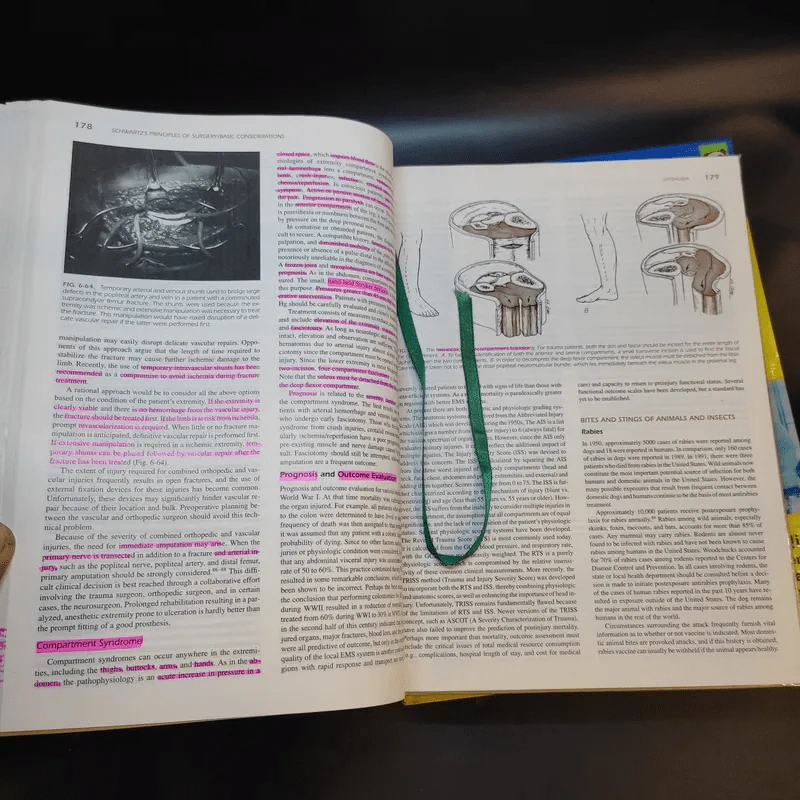 Schwartz's Principles of Surgery Special+Basic รูปที่ 15