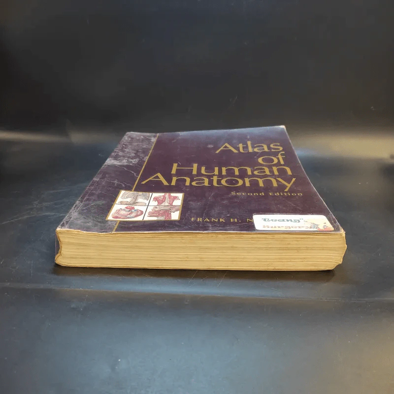 Atlas of Human Anatomy รูปที่ 5