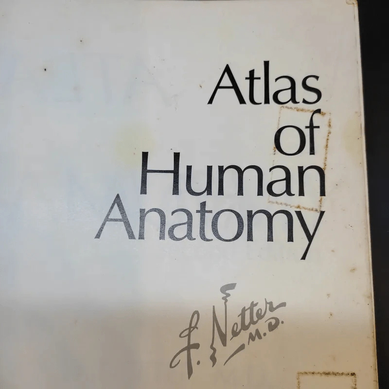 Atlas of Human Anatomy รูปที่ 3