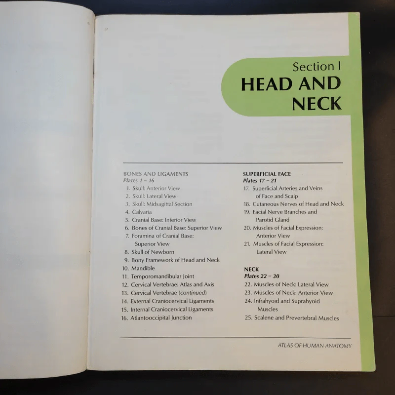 Atlas of Human Anatomy รูปที่ 13