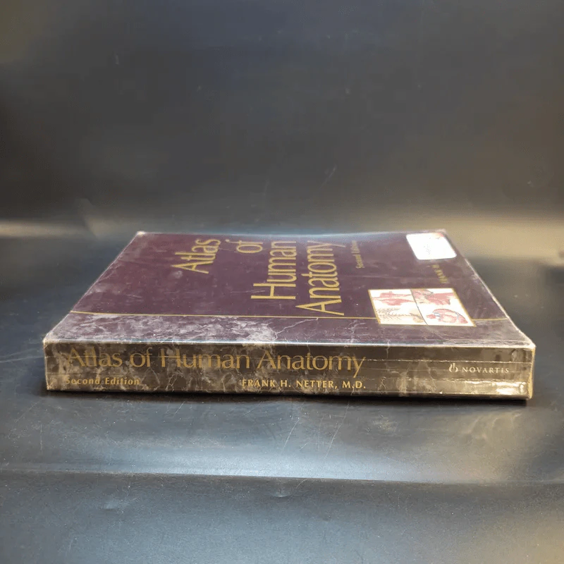 Atlas of Human Anatomy รูปที่ 4
