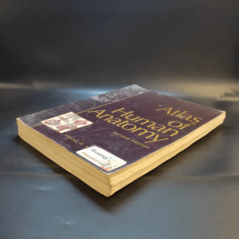 Atlas of Human Anatomy รูปที่ 8