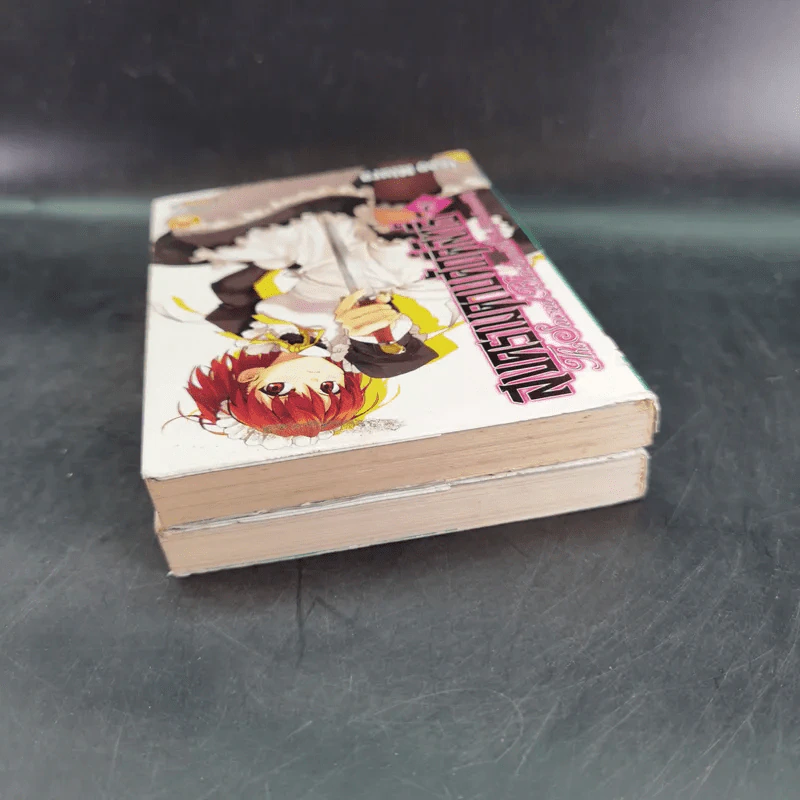 สงครามดาบศักดิ์สิทธิ์ เล่ม 1-2 รูปที่ 6