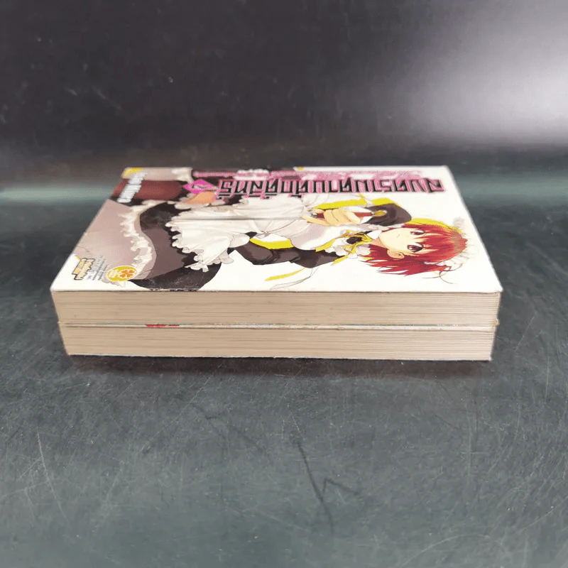 สงครามดาบศักดิ์สิทธิ์ เล่ม 1-2 รูปที่ 5