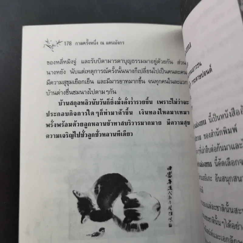 กาลครั้งหนึ่ง ณ แดนมังกร - วิณ พิทักษ์ แปล รูปที่ 12