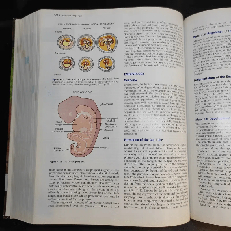Textbook of Surgery Sabiston รูปที่ 15
