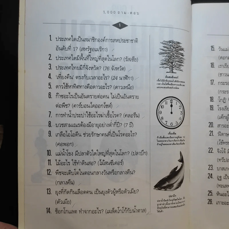 1,000 ถาม - ตอบ ความรู้รอบตัว - กวิน ซื่อแท้ รูปที่ 8