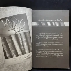 The Top Secret เดอะท็อปซีเคร็ต เล่ม 1-2 - ทันตแพทย์สม สุจีรา รูปที่ 10