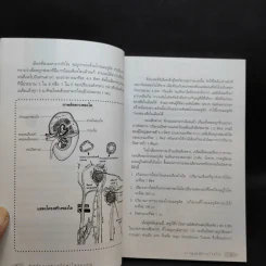 การดูแลผู้ป่วยโรคไตและความรู้ทางโภชนาการสำหรับผู้ป่วยโรคไต - พนิดา กุลประสูติดิลก รูปที่ 13