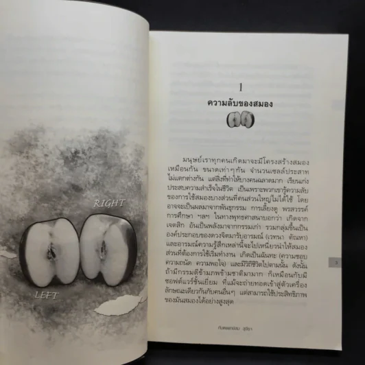 The Top Secret เดอะท็อปซีเคร็ต เล่ม 1-2 - ทันตแพทย์สม สุจีรา รูปที่ 13