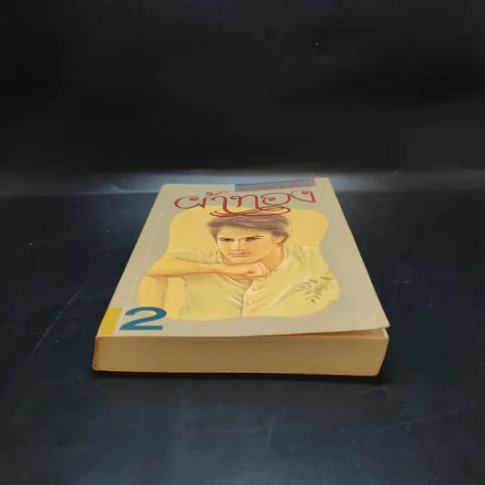 ผ้าทอง เล่ม 2 - แก้วเก้า รูปที่ 4