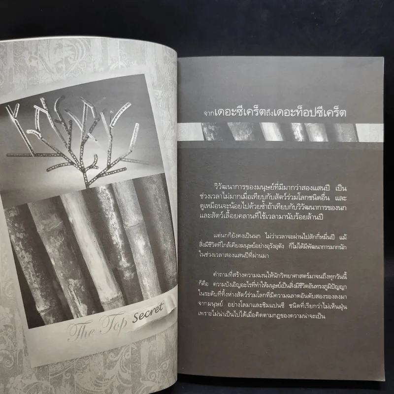 The Top Secret เดอะท็อปซีเคร็ต เล่ม 1-2 - ทันตแพทย์สม สุจีรา รูปที่ 10