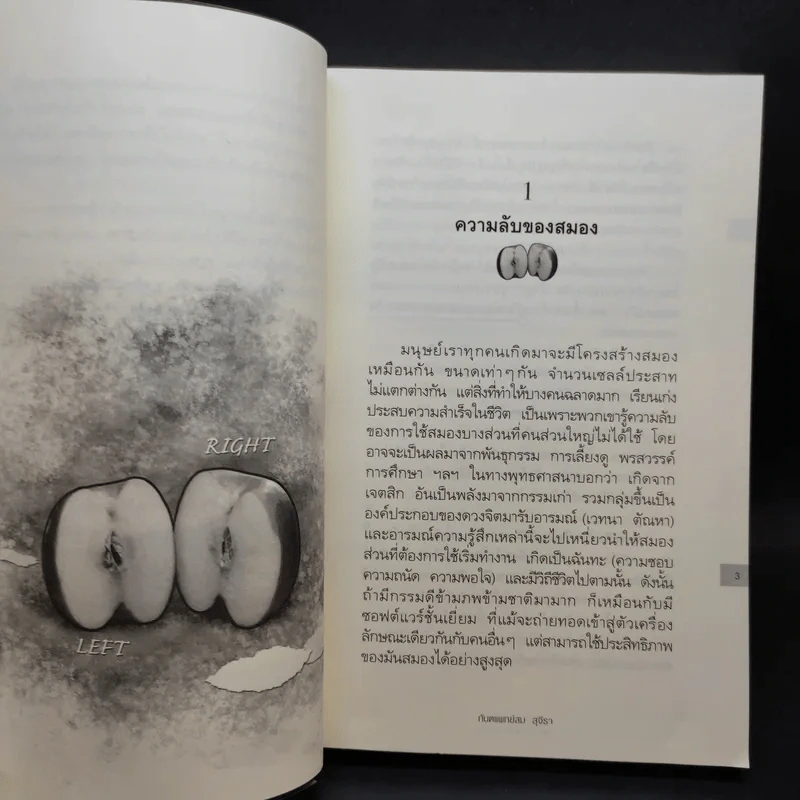 The Top Secret เดอะท็อปซีเคร็ต เล่ม 1-2 - ทันตแพทย์สม สุจีรา รูปที่ 13