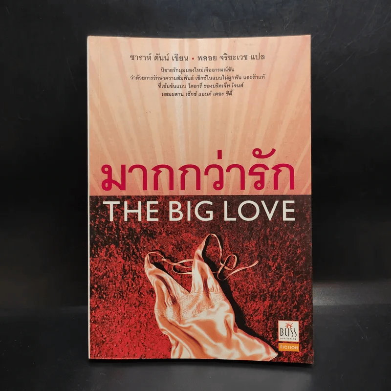 มากกว่ารัก The Big love - ซาราห์ ดันน์ เขียน, พลอย จริยะเวช แปล รูปที่ 1
