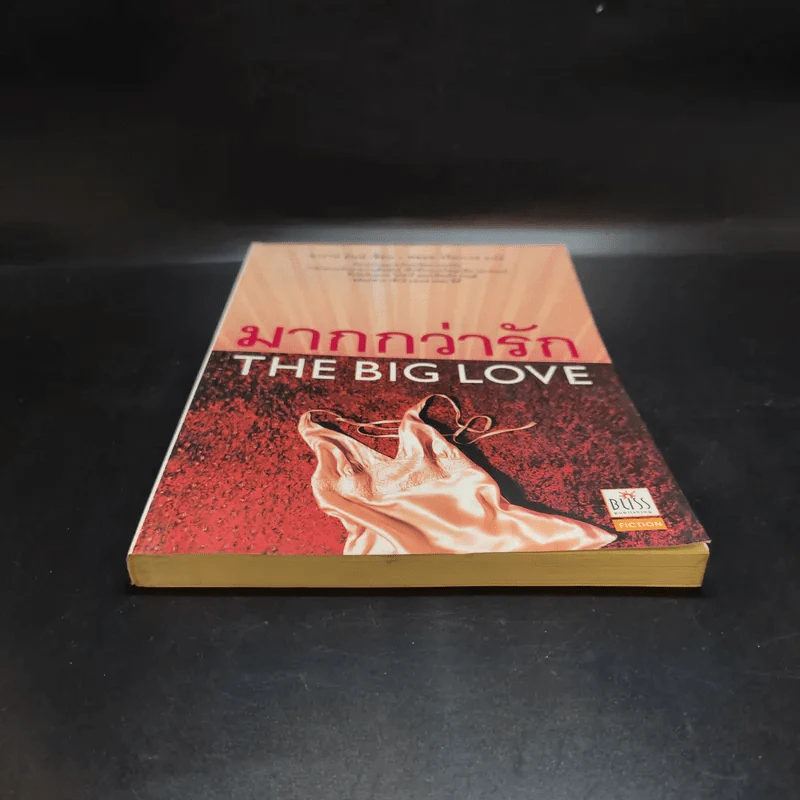 มากกว่ารัก The Big love - ซาราห์ ดันน์ เขียน, พลอย จริยะเวช แปล รูปที่ 4