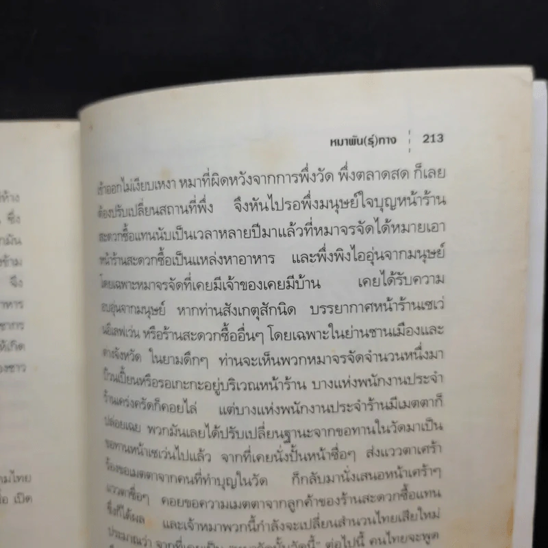 หมาพัน(ธุ์)ทาง 1,000 Ways Dog รูปที่ 12