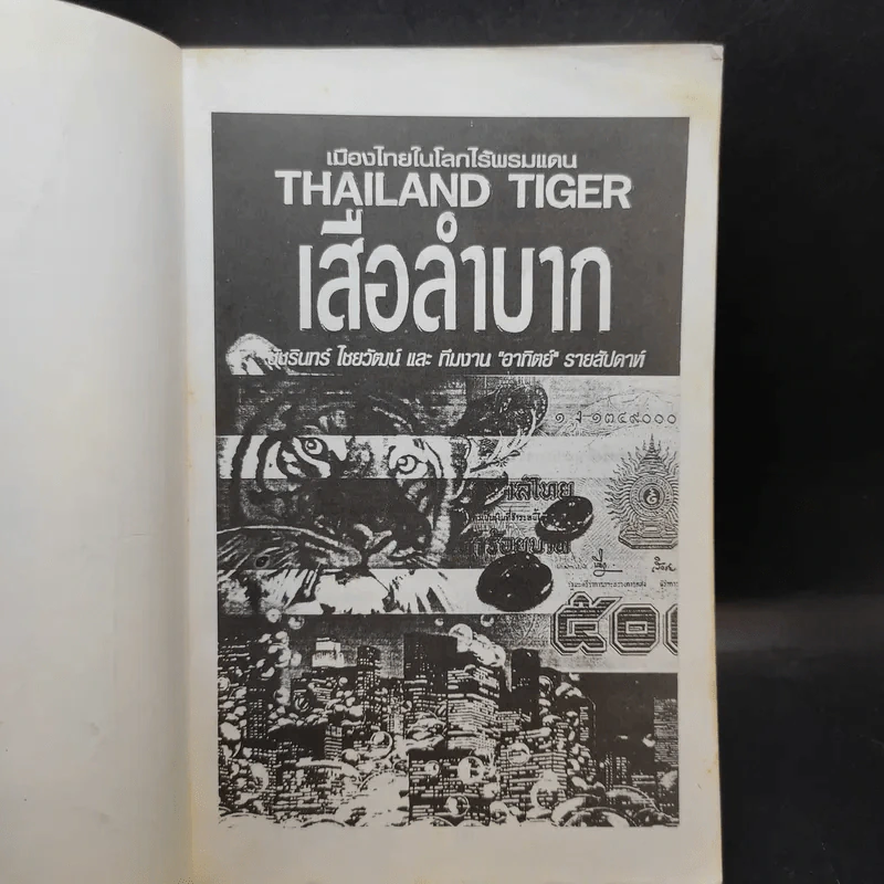 เมืองไทยในโลกไร้พรมแดน Thailand Tiger เสือลำบาก - ชัชรินทร์ ไชยวัฒน์ และทีมงานอาทิตย์รายสัปดาห์ รูปที่ 7