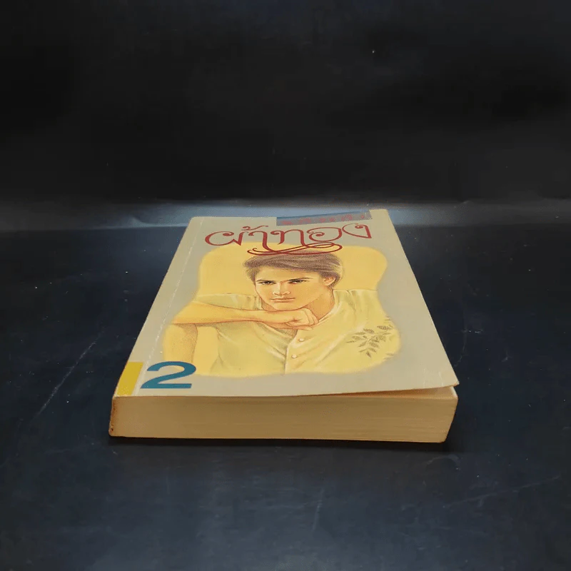 ผ้าทอง เล่ม 2 - แก้วเก้า รูปที่ 4