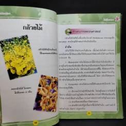 ไม้ตัดดอก - วรรณา แต้ รูปที่ 12