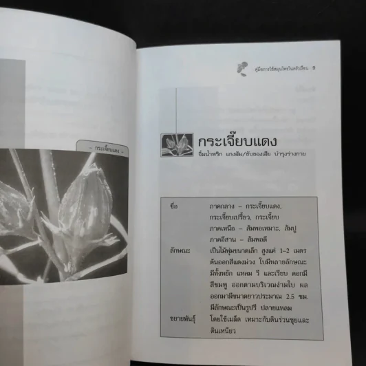 คู่มือการใช้สมุนไพรในครัวเรือน - เอกรัตน์ อุดมพร รูปที่ 11