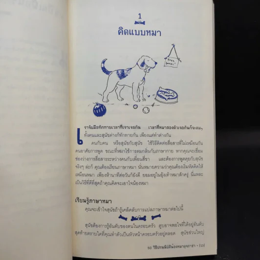 50 วิธีปรนนิบัติน้องหมาดุจราชา รูปที่ 12