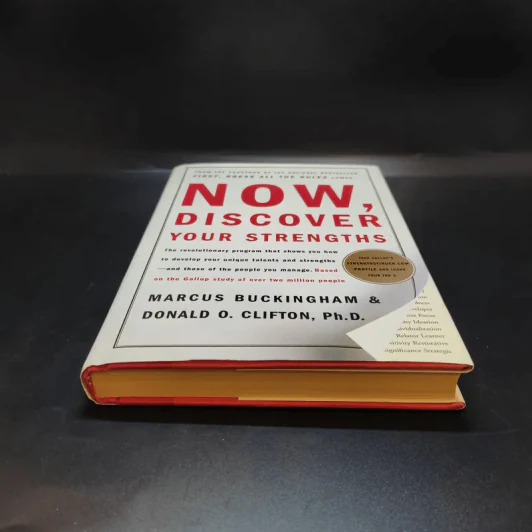 Now, Discover your Strengths รูปที่ 4