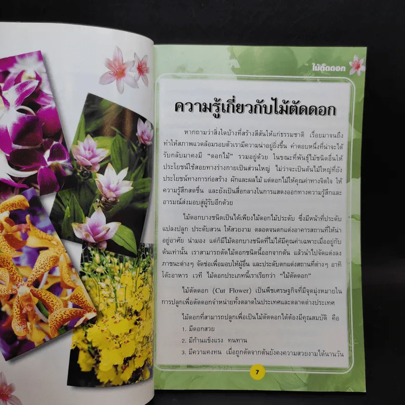 ไม้ตัดดอก - วรรณา แต้ รูปที่ 11
