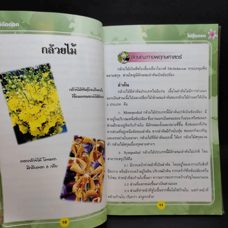 ไม้ตัดดอก - วรรณา แต้ รูปที่ 12