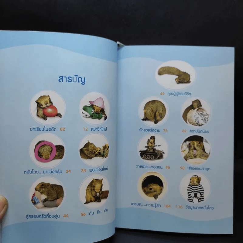 หมั่นโถว...มาแล้วครับ รูปที่ 11