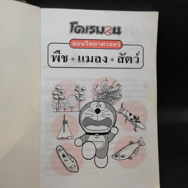 โดเรมอน สอนวิทยาศาสตร์ พืช แมลง สัตว์ รูปที่ 8