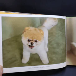 Boo The Life of the World's Cutest Dog - J.H.Lee รูปที่ 11