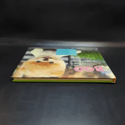 Boo The Life of the World's Cutest Dog - J.H.Lee รูปที่ 6
