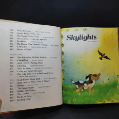 Skylights - William K. Durr, Jean M. Lepere, John J. Pikulski รูปที่ 7