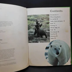 Polar Bear & Grizzly Bear รูปที่ 3