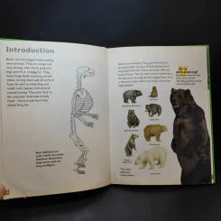 Polar Bear & Grizzly Bear รูปที่ 4