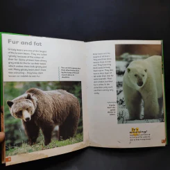 Polar Bear & Grizzly Bear รูปที่ 5