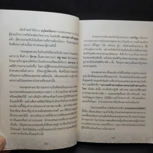ตามรอยพระโพธิสัตว์ ที่ระลึกการก่อสร้างอุทยานพระโพธิสัตว์ วัดป่าแสงธรรม รูปที่ 8