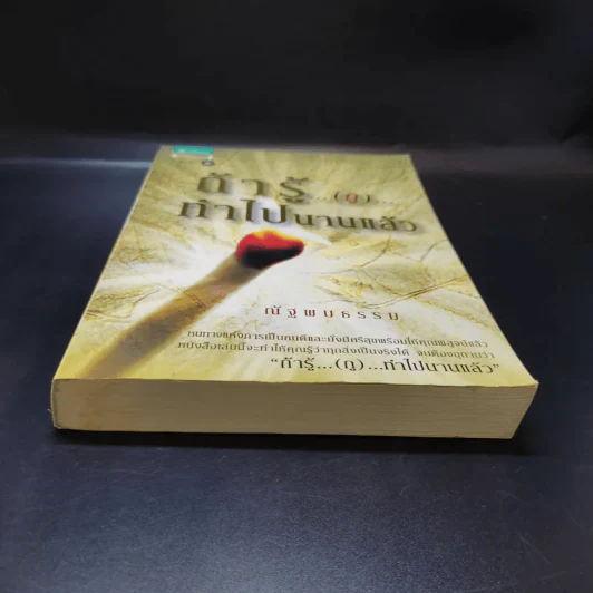 ถ้ารู้ (กู) ทำไปนานแล้ว - ณัฐพบธรรม รูปที่ 4