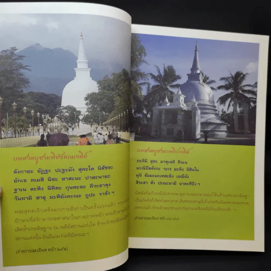 ของดีศรีลังกา คู่มือนำเที่ยวเชิงประวัติศาสตร์ รูปที่ 10