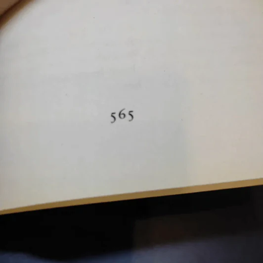 The White Lioness - Henning Mankell รูปที่ 9