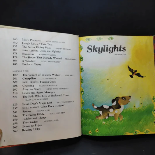 Skylights - William K. Durr, Jean M. Lepere, John J. Pikulski รูปที่ 7