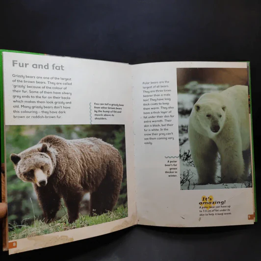Polar Bear & Grizzly Bear รูปที่ 5