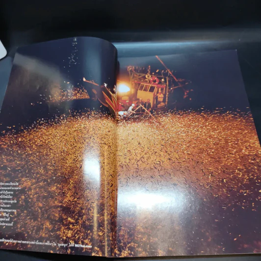 National Geographic ฉบับที่ 146 ก.ย.2556 ทะเลท่วมโลก รูปที่ 8