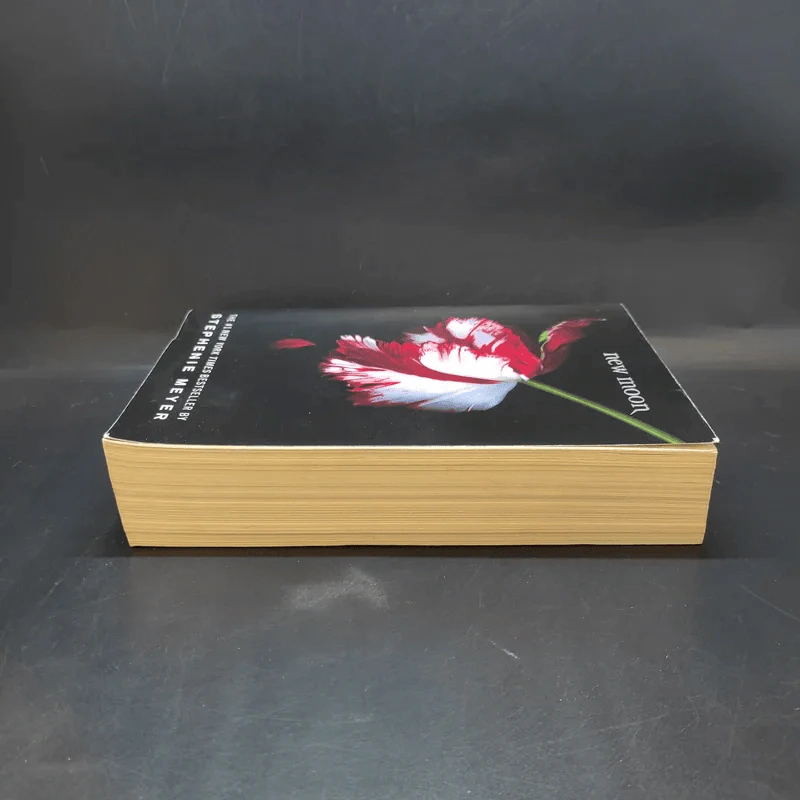 New Moon - Stephenie Meyer รูปที่ 4