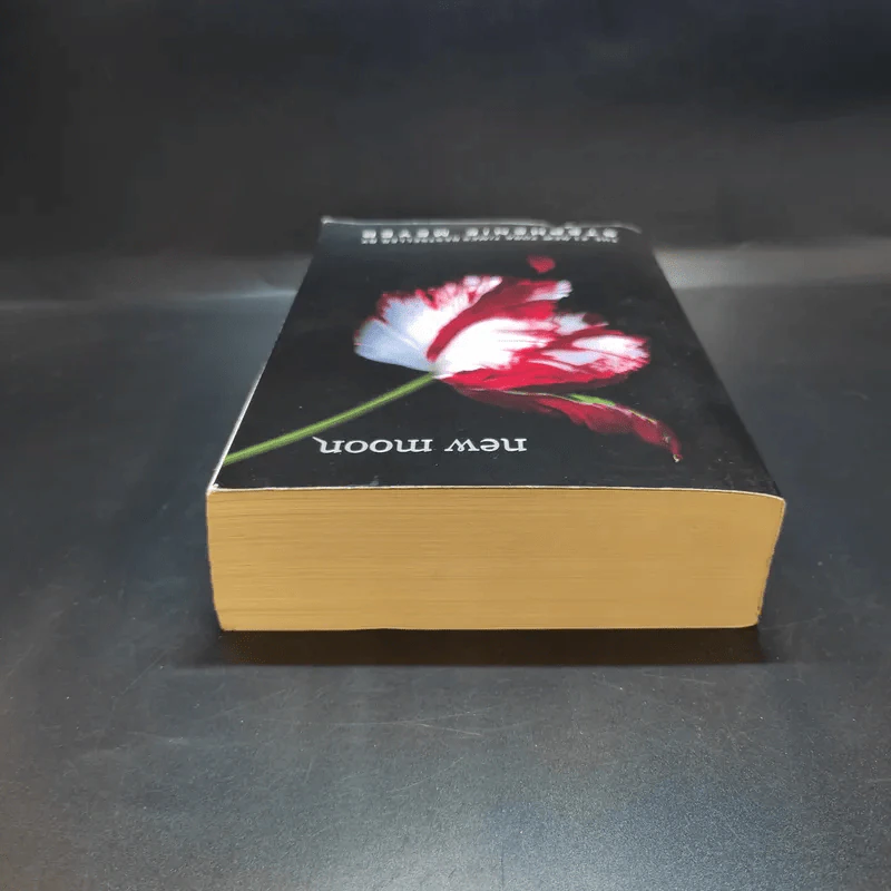 New Moon - Stephenie Meyer รูปที่ 5