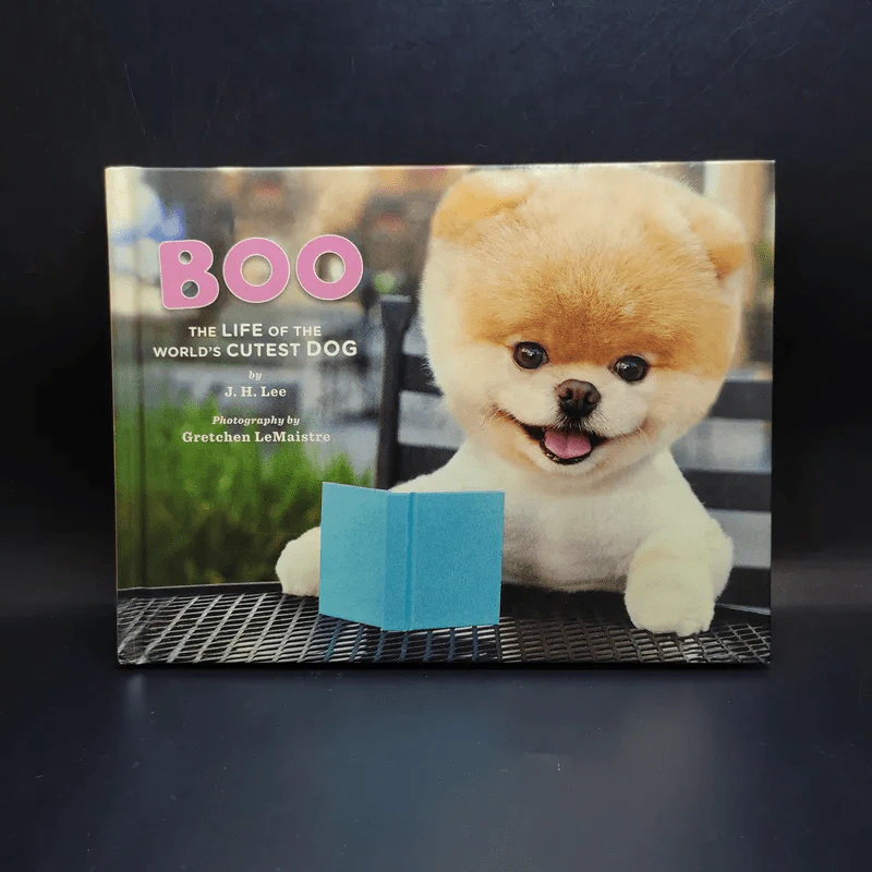Boo The Life of the World's Cutest Dog - J.H.Lee รูปที่ 1