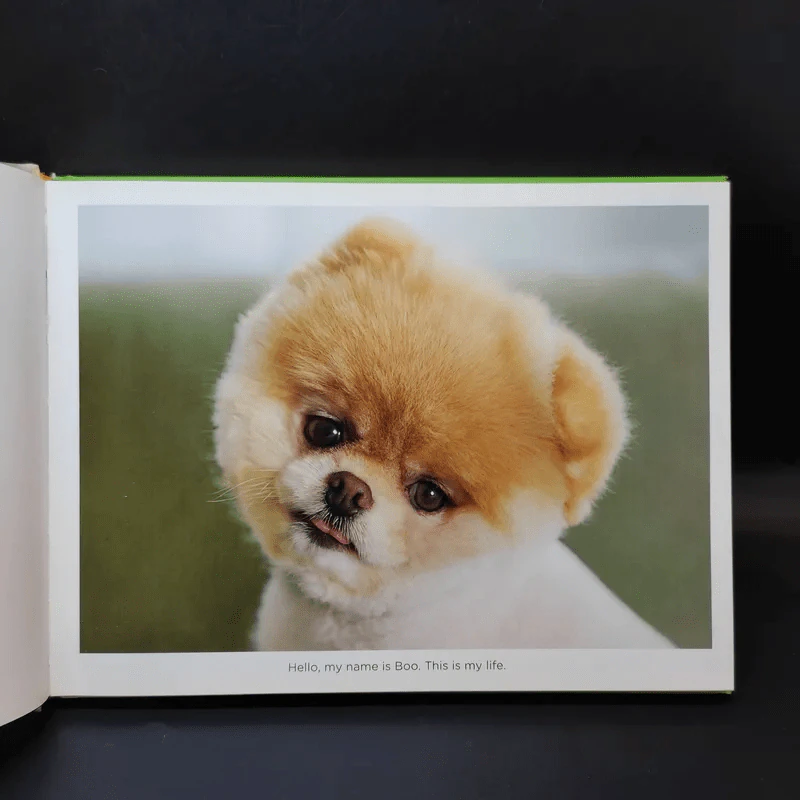 Boo The Life of the World's Cutest Dog - J.H.Lee รูปที่ 9