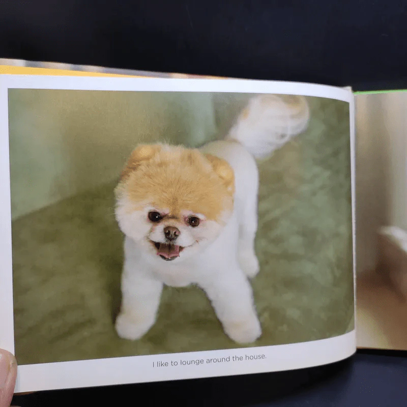 Boo The Life of the World's Cutest Dog - J.H.Lee รูปที่ 11
