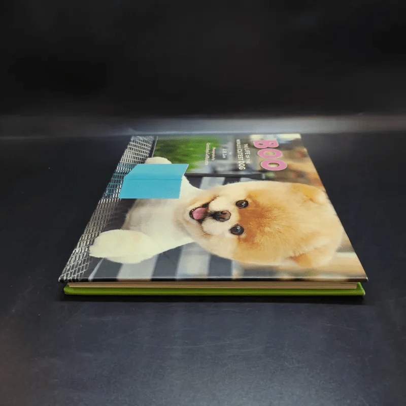 Boo The Life of the World's Cutest Dog - J.H.Lee รูปที่ 5